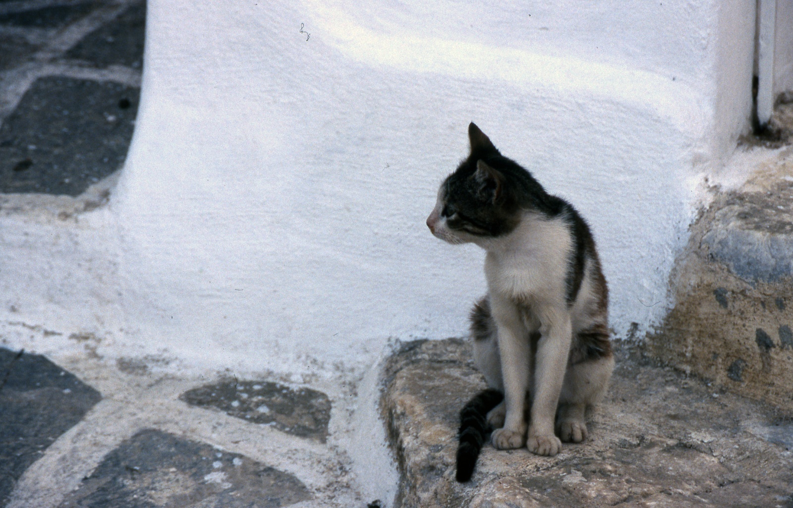 Paros 2004